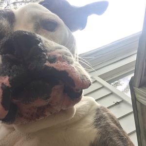 Meet your Posher, Dwayne